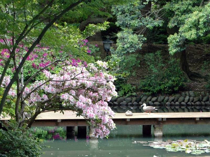 石川县立看护大学