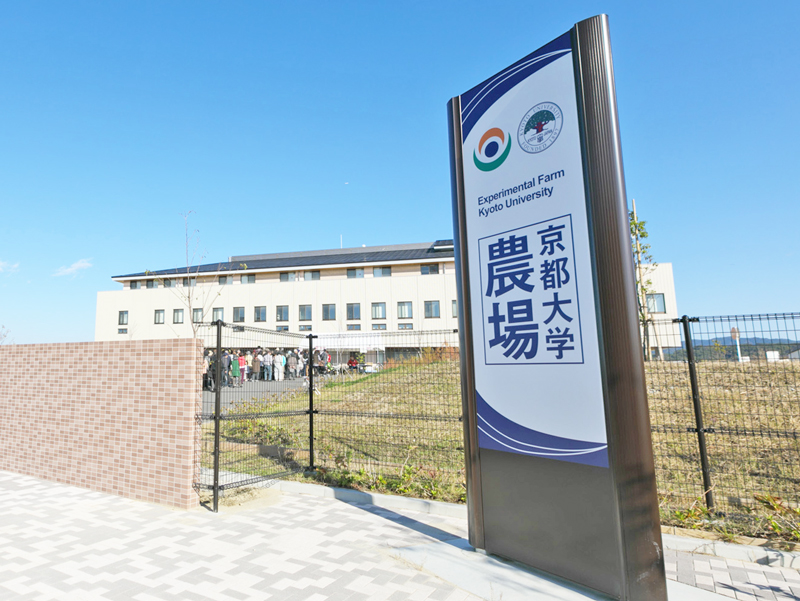 日本留学,日本读研