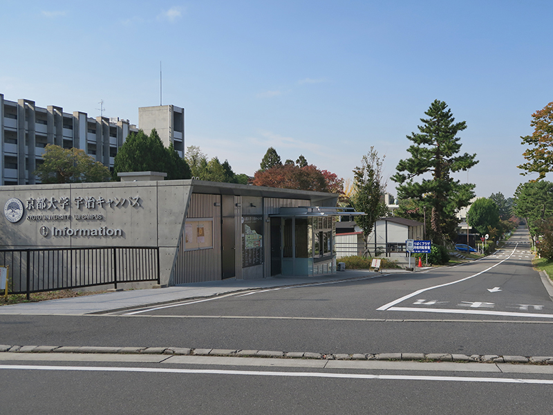 日本留学,日本读研