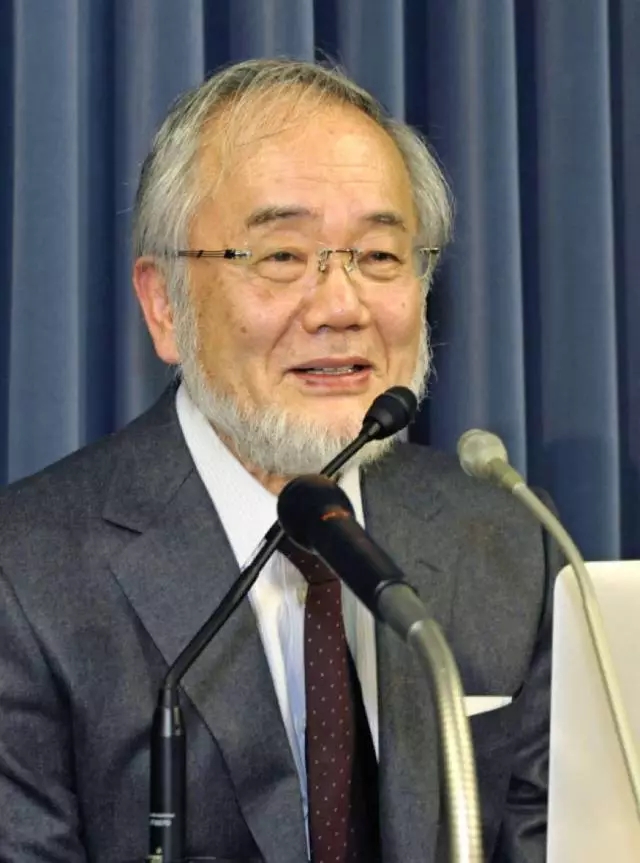 日本留学,日本读研