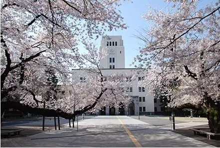 日本留学,日本读研