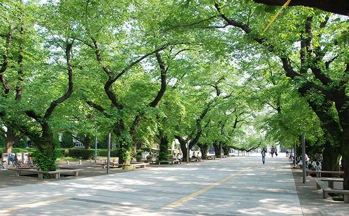 日本留学,日本读研
