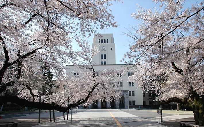 日本留学,日本读研