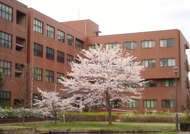 日本留学,日本读研