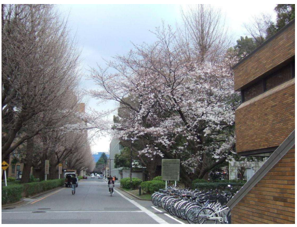 日本留学,日本留学条件